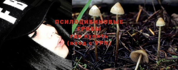 мдпв Лабытнанги