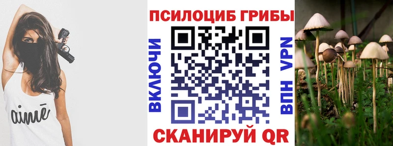 Галлюциногенные грибы мухоморы  Горбатов 